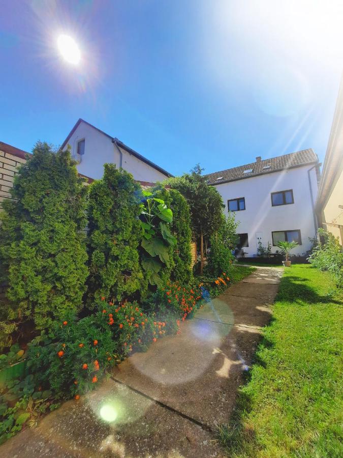 Apartmani Sunflower Sremski Karlovci Exterior foto