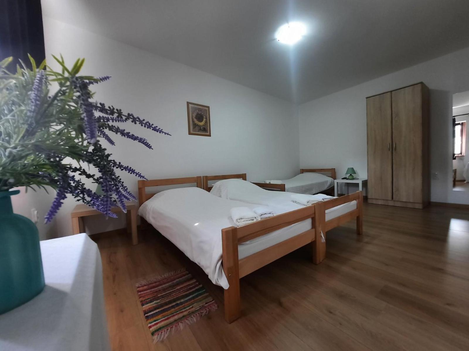 Apartmani Sunflower Sremski Karlovci Exterior foto