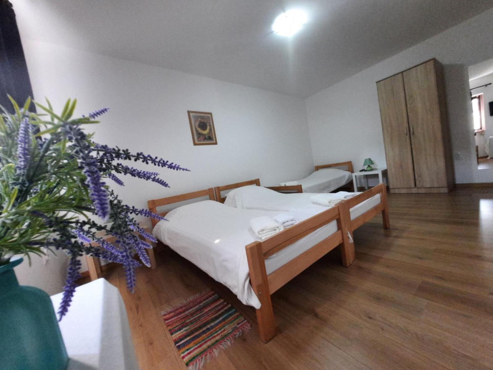 Apartmani Sunflower Sremski Karlovci Zimmer foto
