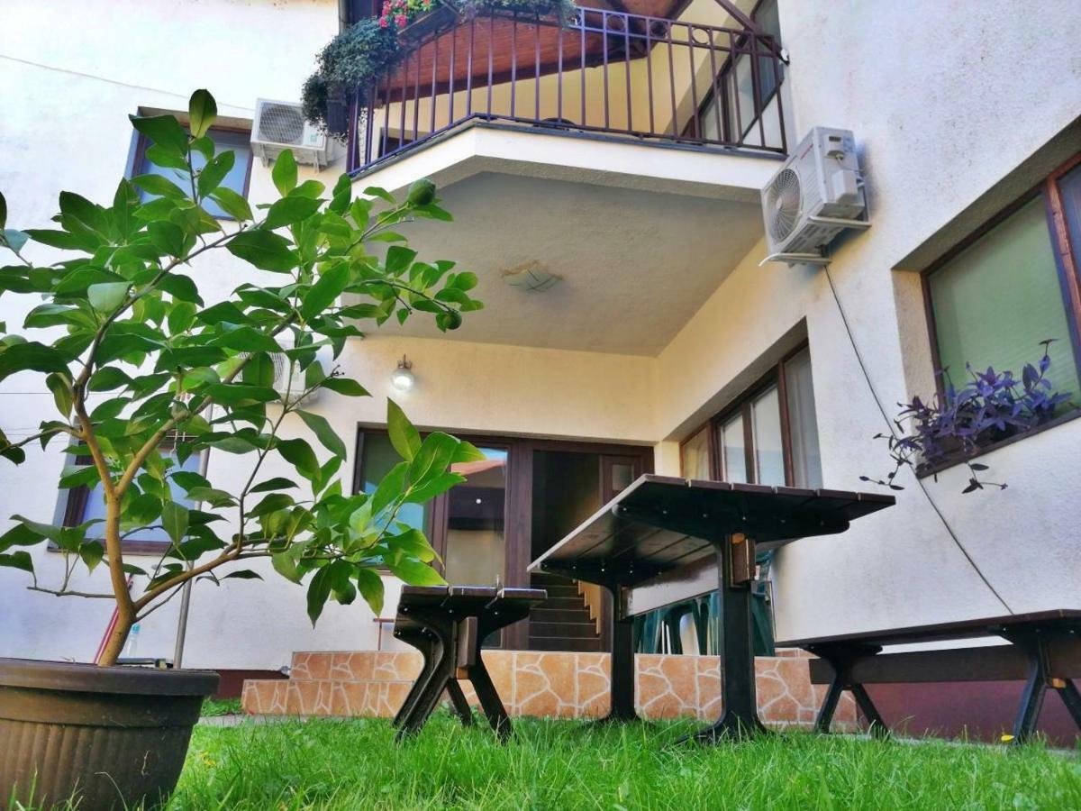 Apartmani Sunflower Sremski Karlovci Exterior foto